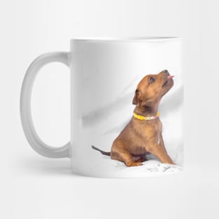 Miniature Pinscher puppy, 1 months old Mug